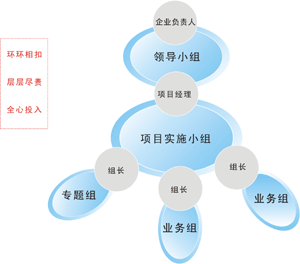 ERP流程实施之ERP项目实施成员分配 - 傲鹏ERP项目实施
